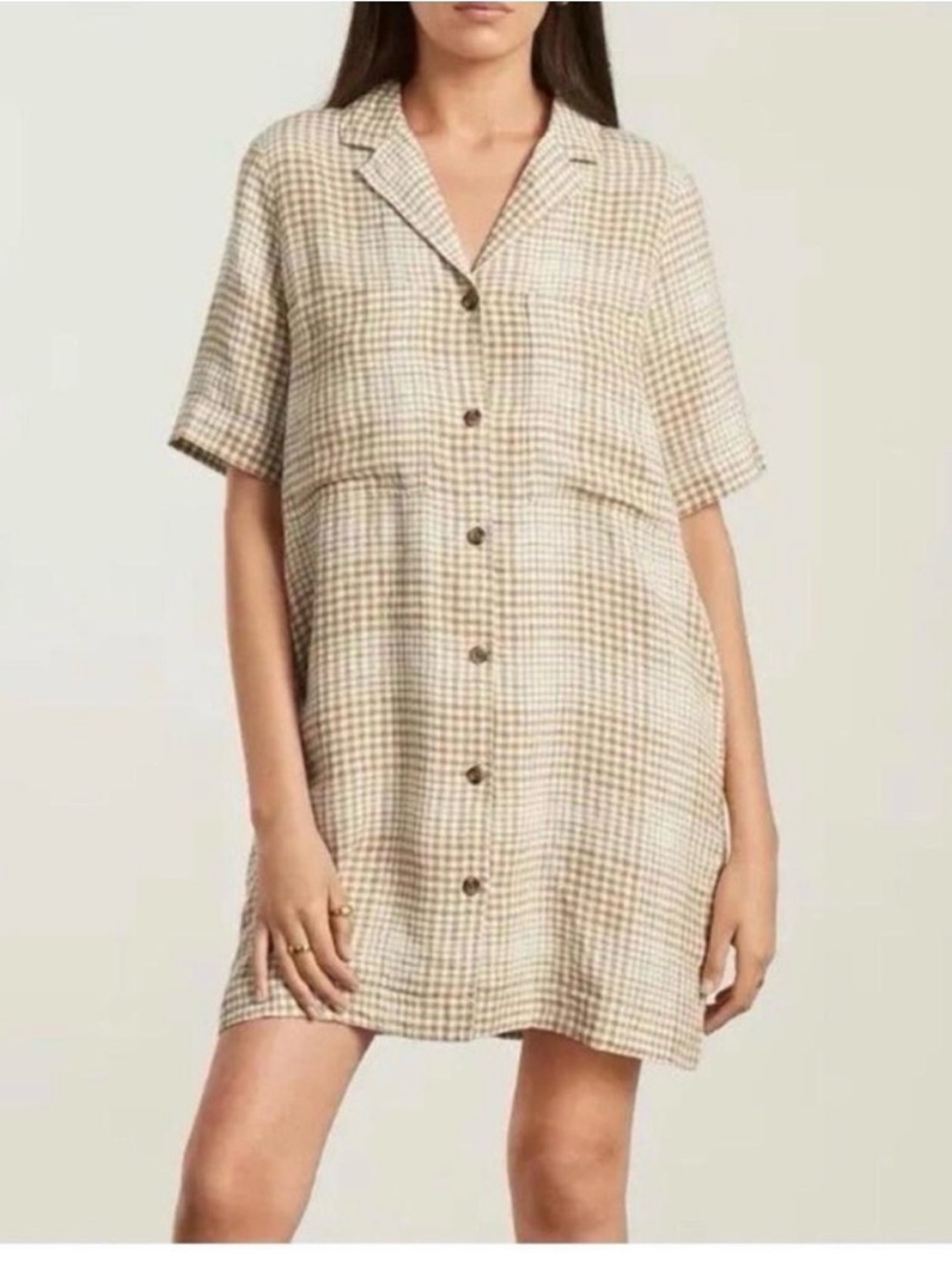 Everlane Brown and Cream Gingham Shirt